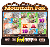 fnf777,fnf777.com