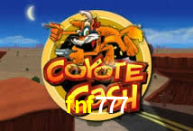 Crash Games Statistics fnf777